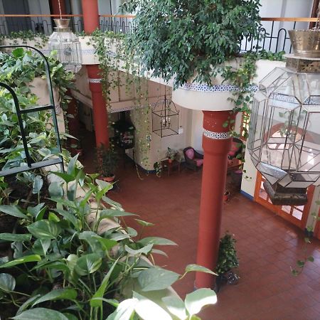 Estudio Reina Y Pastora El Rocio公寓 外观 照片